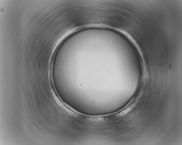 X0000057060957200509231529