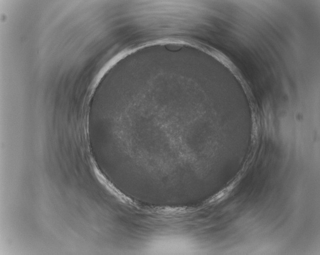 X0000057060958200509231529