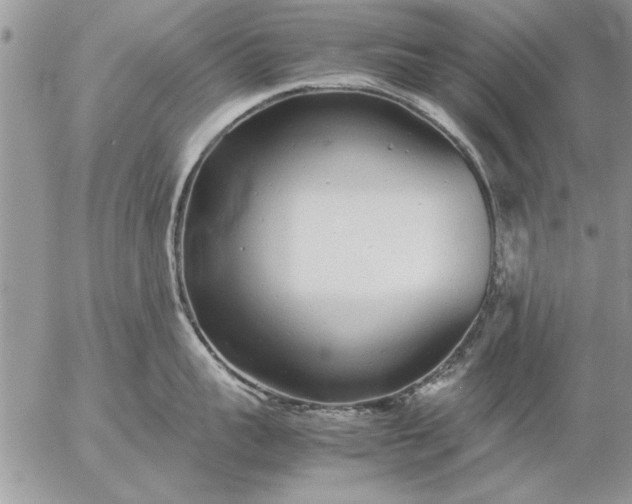 X0000057060959200509231529