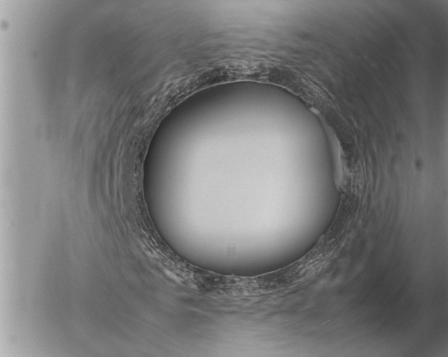 X0000057060961200509231528