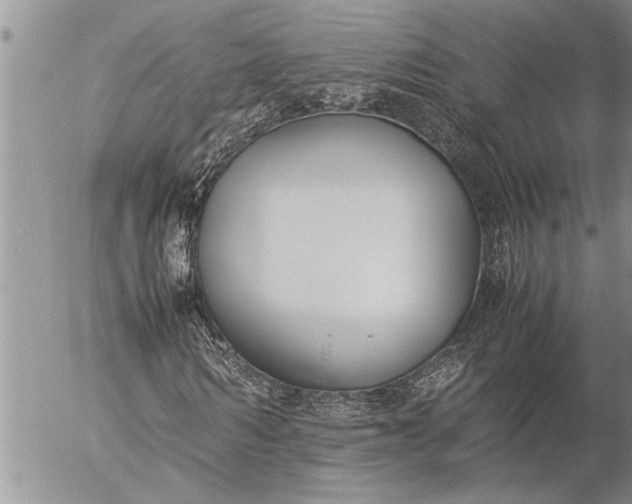 X0000057060962200509231528