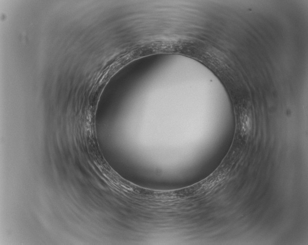 X0000057060964200509231528