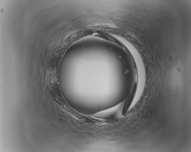 X0000057060965200509231528