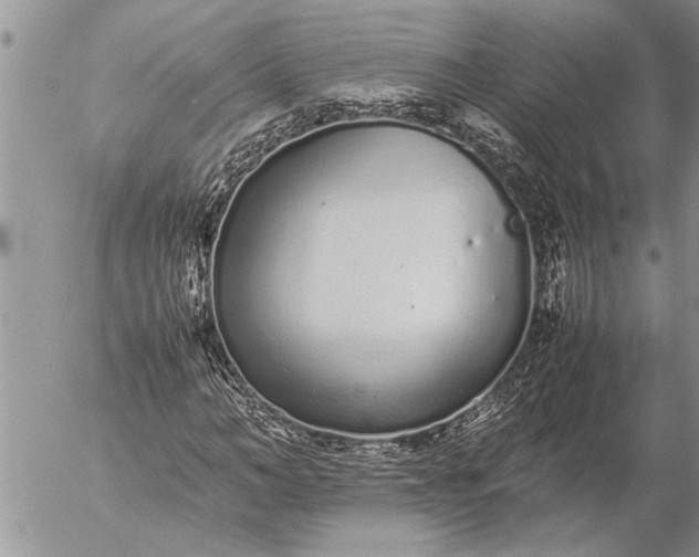 X0000057060966200509231528