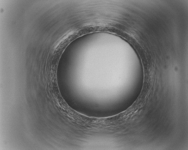 X0000057060967200509231528