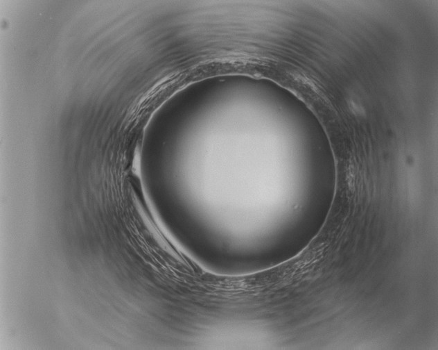 X0000057060968200509231528