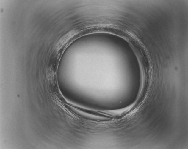 X0000057060969200509231528