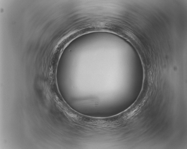 X0000057060971200509231528