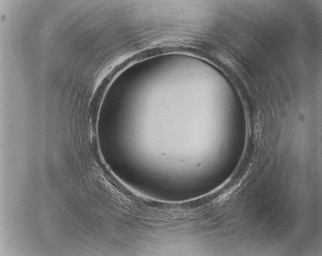 X0000057060973200509231528