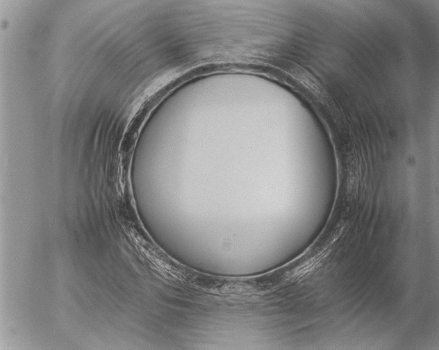 X0000057060974200509231528