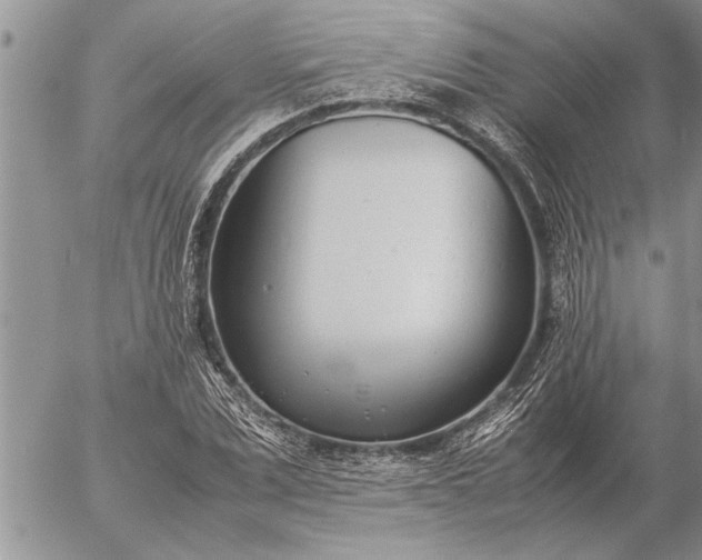 X0000057060975200509231528