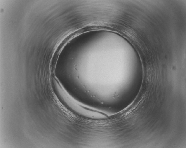 X0000057060976200509231528