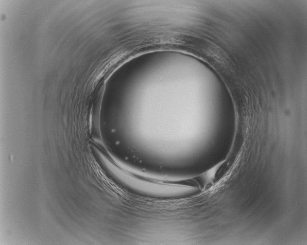 X0000057060977200509231528