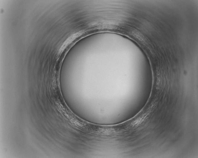 X0000057060978200509231528