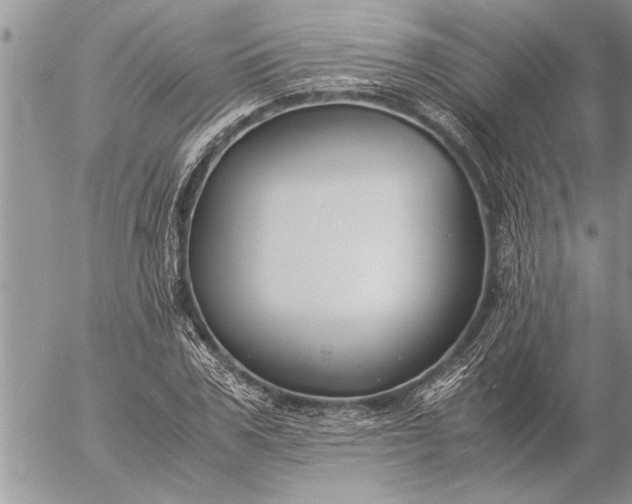 X0000057060979200509231528