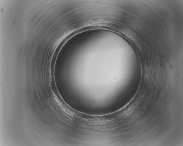 X0000057060980200509231528