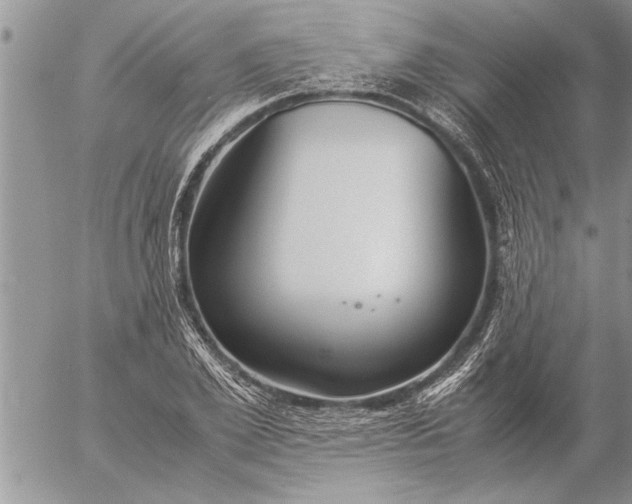 X0000057060981200509231527