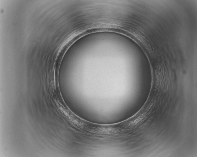 X0000057060982200509231527