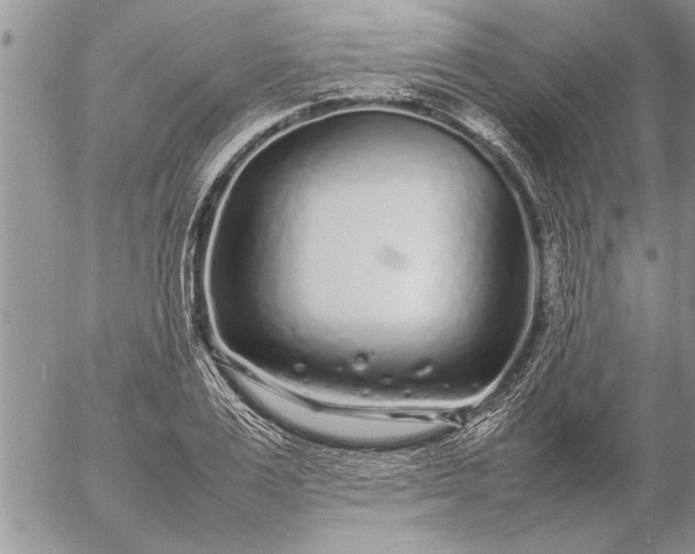 X0000057060983200509231527