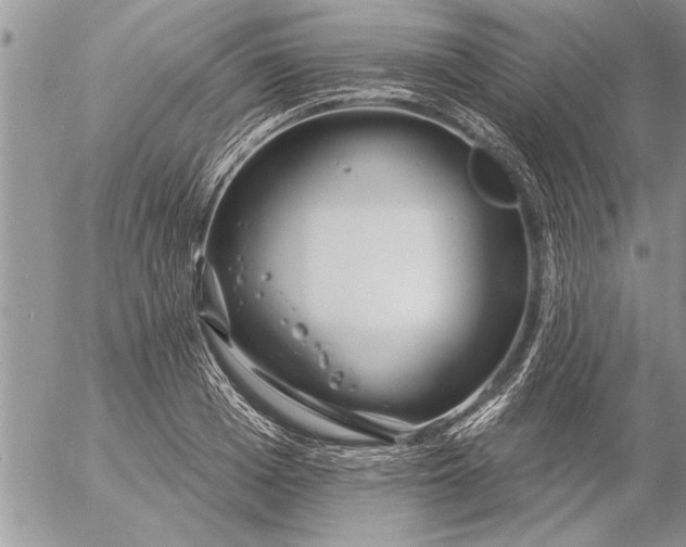 X0000057060985200509231527