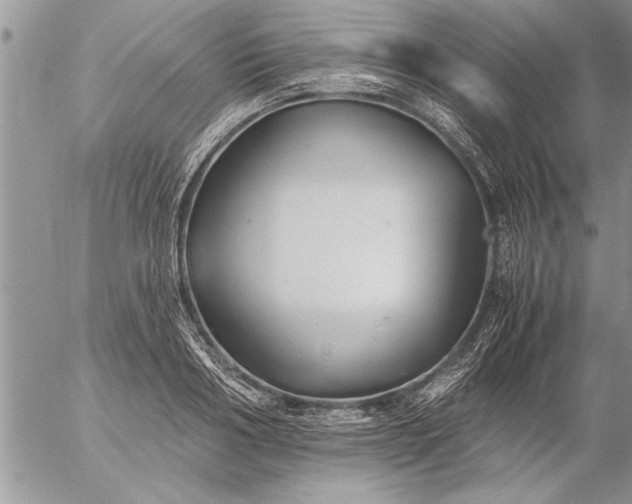 X0000057060986200509231527