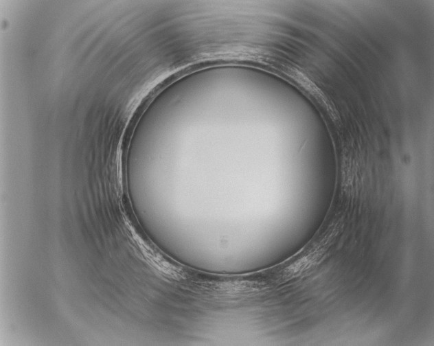 X0000057060988200509231527