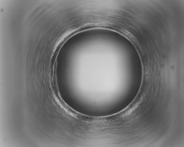 X0000057060989200509231527