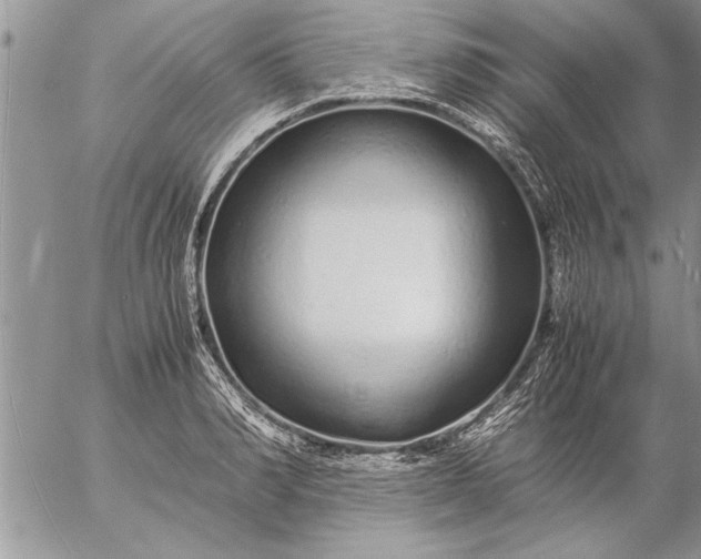 X0000057060990200509231527