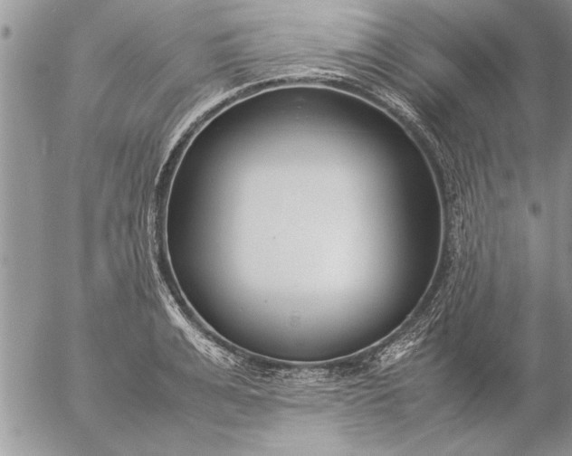 X0000057060991200509231527