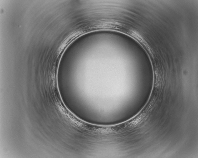 X0000057060994200509231527