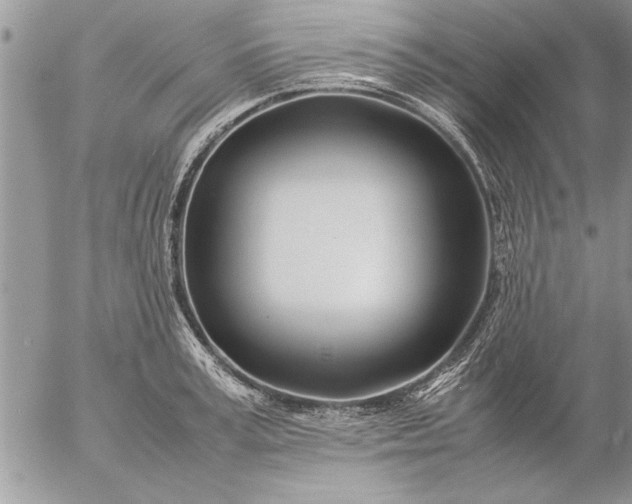 X0000057060995200509231527