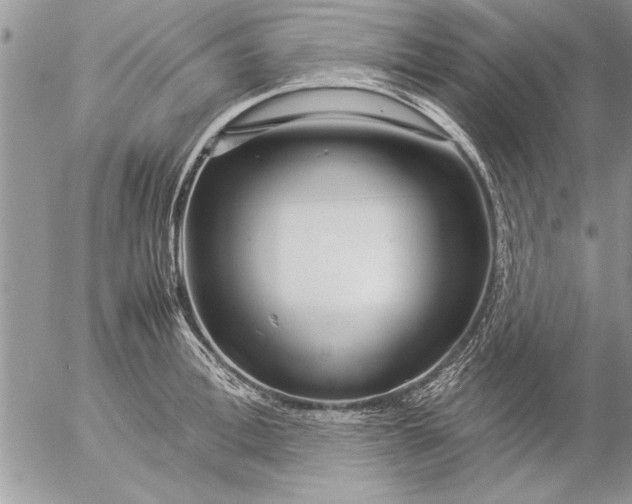 X0000057060996200509231527