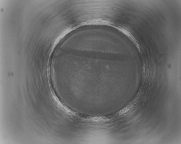 X0000057060998200509231527