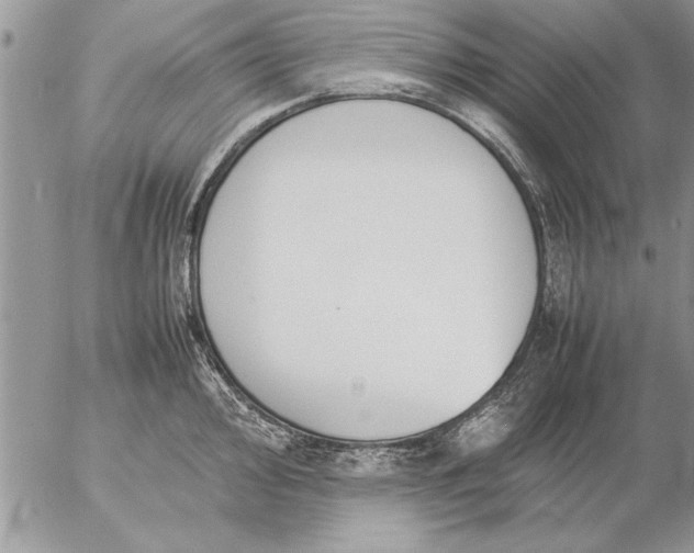 X0000057061000200509231527