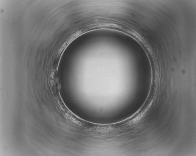 X0000057061001200509231527