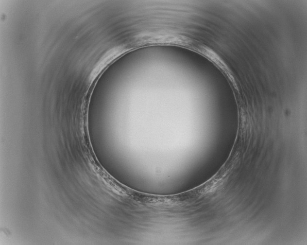 X0000057061002200509231527