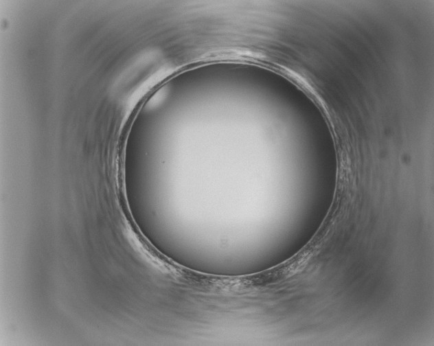 X0000057061003200509231527