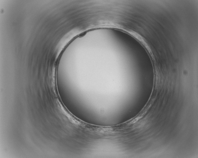 X0000057061006200509231527