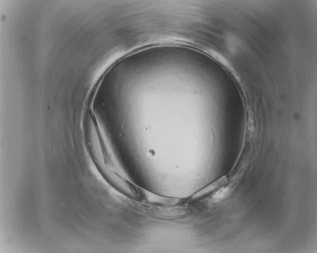 X0000057061007200509231527