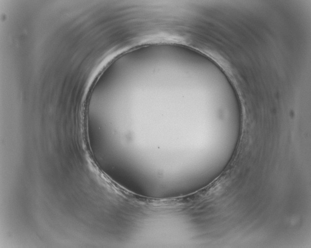 X0000057061008200509231527