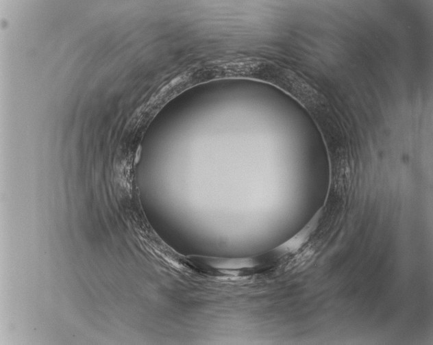 X0000057061010200509231526