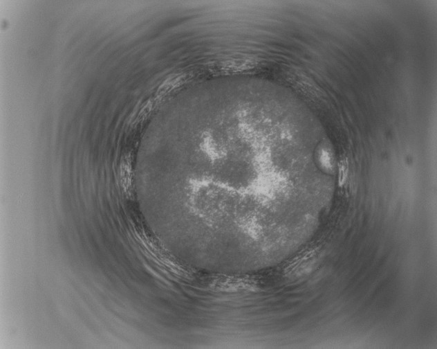 X0000057061011200509231526