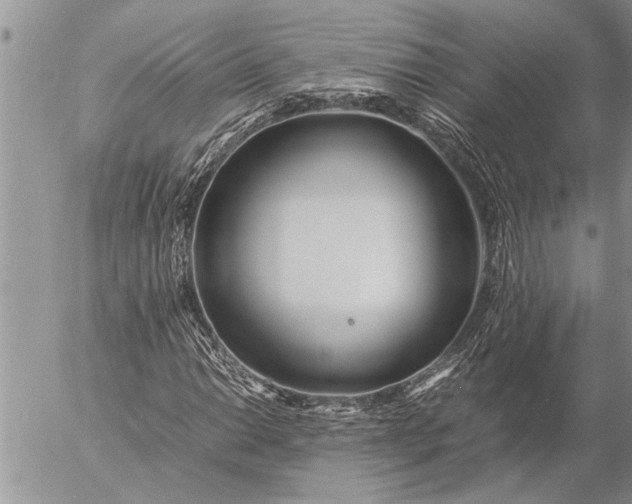 X0000057061014200509231526