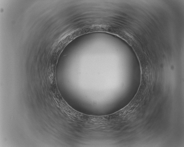 X0000057061015200509231526