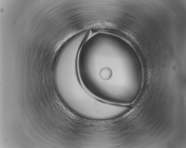 X0000057061018200509231526