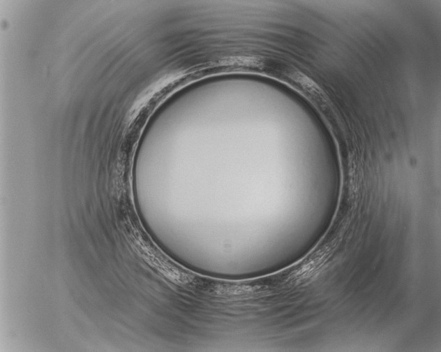 X0000057061019200509231526