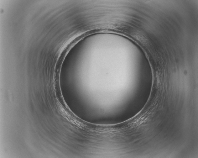 X0000057061020200509231526