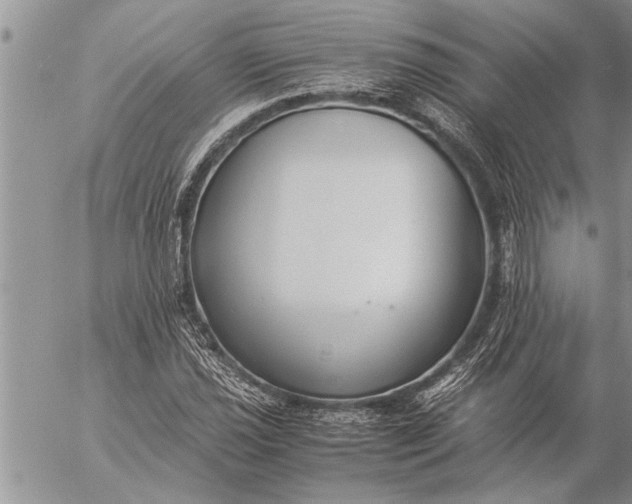 X0000057061021200509231526