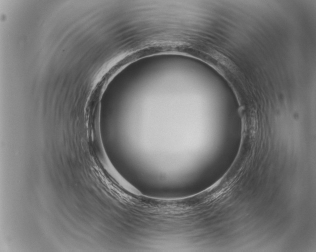 X0000057061022200509231526