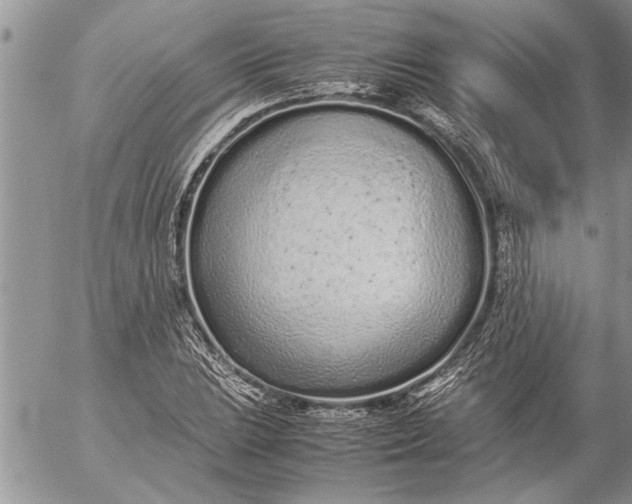 X0000057061023200509231526